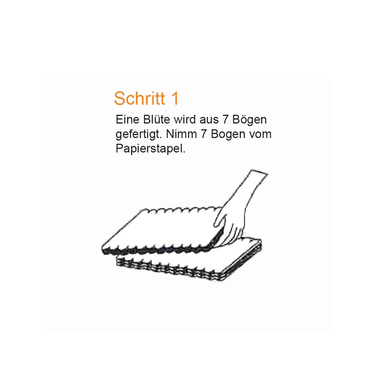 Blütenzauber