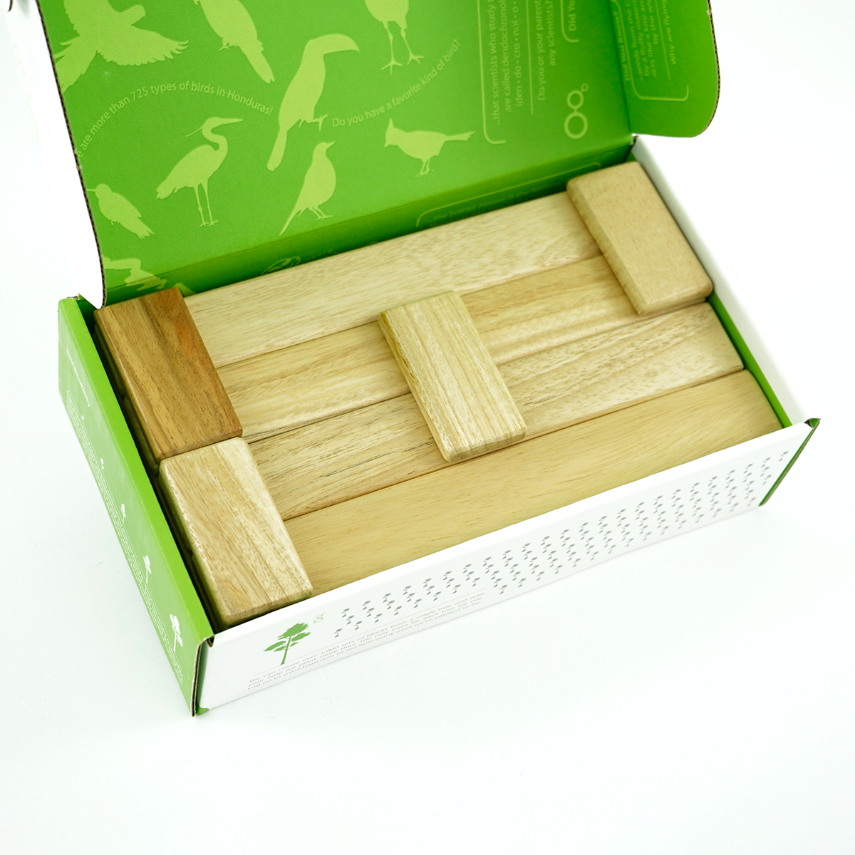 tegu-Magnetisches Entdeckerset natur, 22-teilig