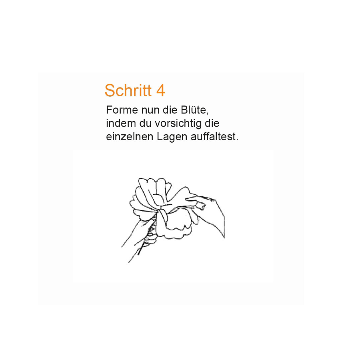Blütenzauber