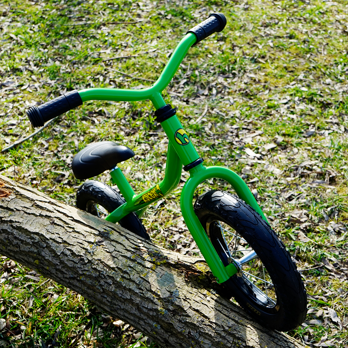 Lauf- und Spaßrad, Farbe Grün